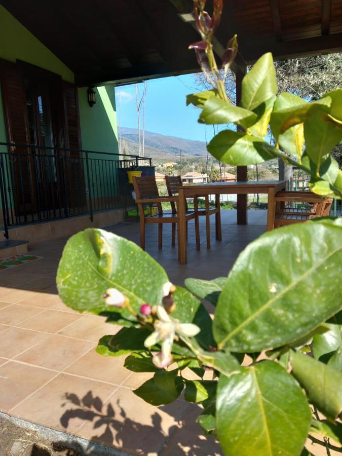 הוילה זפראנה אטניאה Etna Green House מראה חיצוני תמונה
